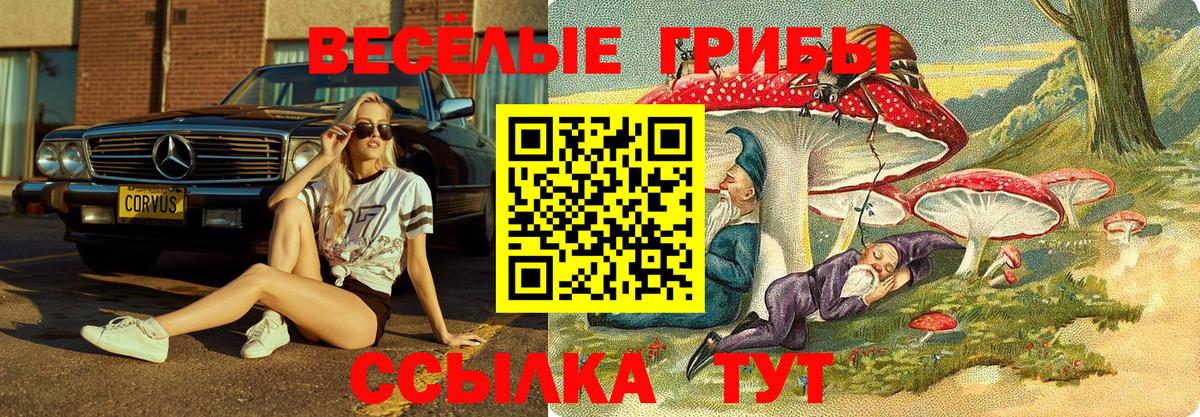 Ипатово  Галлюциногенные грибы Cubensis  Псилоцибиновые грибы Psilocybe  Вход с VPN 